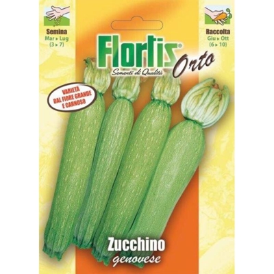 Zucchino Genovese - ORVITAL SPA - SEMI