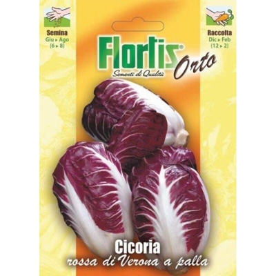 Cicoria Rossa Di Verona - ORVITAL SPA - SEMI