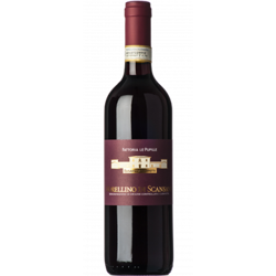 MORELLINO DI SCANSANO 2019 - FATTORIA LE PUPILLE características