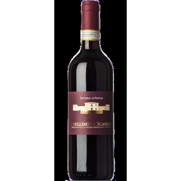 MORELLINO DI SCANSANO 2019 - FATTORIA LE PUPILLE