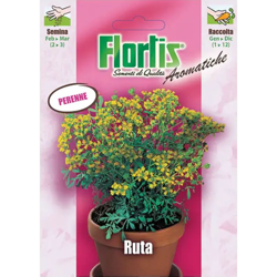 Ruta - ORVITAL SPA - SEMI en oferta