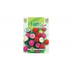 Zinnia Lilliput - ORVITAL SPA - SEMI precio