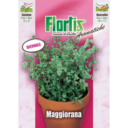 Maggiorana Gentile - ORVITAL SPA - SEMI precio