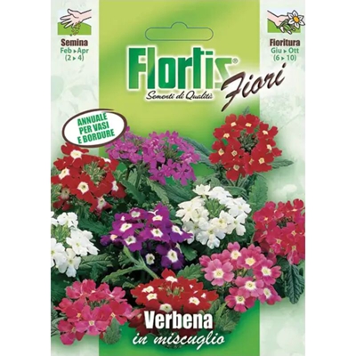 Verbena A Grandi Fiori - ORVITAL SPA - SEMI