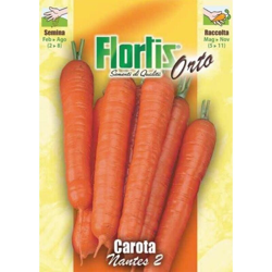 Carota Mezza Lunga Nantese - ORVITAL SPA - SEMI características