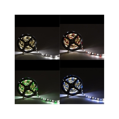 Striscia Led 300 LEDs 60W SMD5050 24VDC IP20 RGB+Bianca x 5M (CA-5050-60-24-IP20-RGB-W) - GREENICE