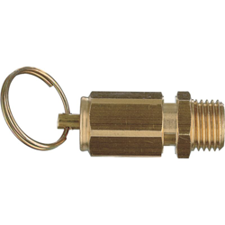 Ani Valvola Sicurezza Compressori 22/Cn 1/2 características