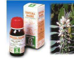 CARDIACA 16 50ML TM características