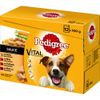 Multipack Pedigree Vital Protection in Salsa - Set %: 24 x 100 g