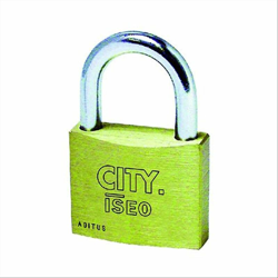 Lucchetto rettangolare mm 50 pz 1 - KONCRETO precio