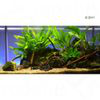Set piante per acquario Zooplants "Persico" - 7 piante precio