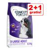 2 + 1 gratis! 3 x 1,5 kg Concept for Life - X-Large Puppy características