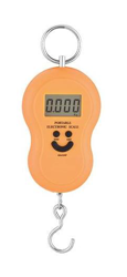 Keyman Bilancia Digitale Portatile 40 Kg Con Display Ad Un Quadrante A 4 Cifre en oferta