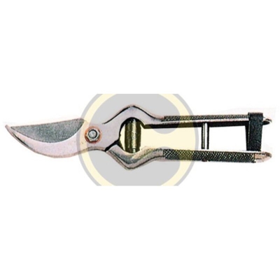 DFL - Forbici Cogliagrumi Cm 19 Lama Dritta. Manici Rivestiti In Pvc, Chiusura Cuoio.