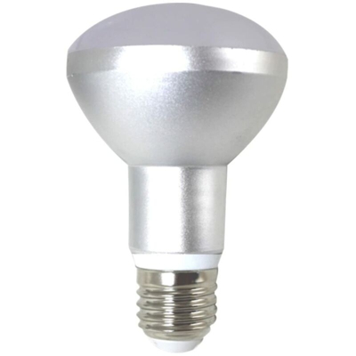 R80 E27 10W 3000K Luce A Led Con Riflettore - SILVER