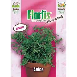 Anice - ORVITAL SPA - SEMI características