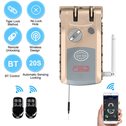 Serratura intelligente invisibile con telecomando Bt-Automatic Selflock Serratura elettronica magnetica con 2 telecomandi, grigio e oro, con 2 precio