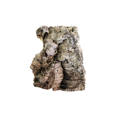 Zattera in sughero per orchidee e tillandsia c.ca 20x30 cm - GEOSISM & NATURE S.A.S. DI BARANI SIMONE & C.