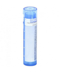 Boiron Hyoscyamus Niger 18% Mk Gocce 20ml características