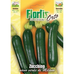 Zucchino Nano Verde Di Milano - ORVITAL SPA - SEMI características