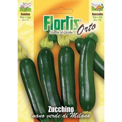 Zucchino Nano Verde Di Milano - ORVITAL SPA - SEMI