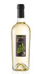 Le Matine Fiano Puglia IGP Crifo 2019 precio