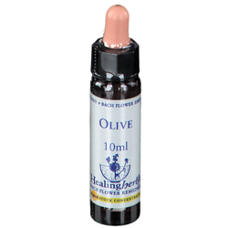 Healing Herbs Olive características