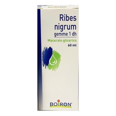 BOIRON® Ribes nigrum gemme 1 dh