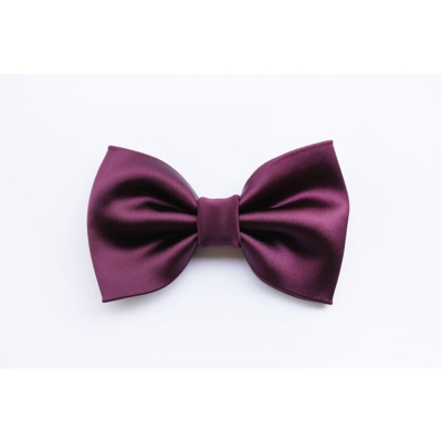 Papillon uomo in satin lucido Farfalla cravattino Farfallino donna [Colore - Viola] - EGLEMTEK