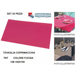 Bighouse It - TOVAGLIA COPRIMACCHIA TNT 100X100 SET 25 PZ. FUCSIA características