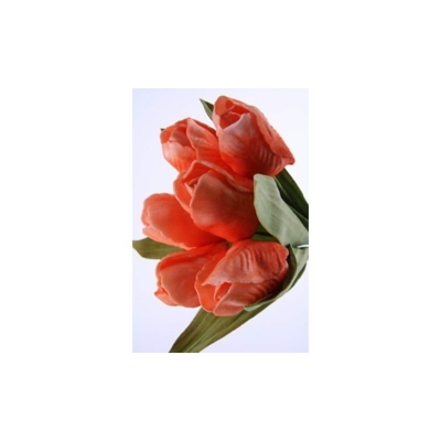 Mazzo di tulipani mini - 23 cm - corallo - BLUMISSIMA