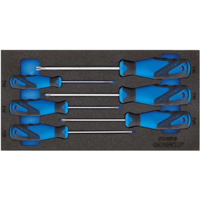 Gedore Check-Tool inserto con assortimento - 1500 CT1-2163 TXB