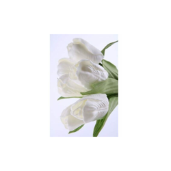 Mazzo di tulipani mini - 23 cm - Bianco - BLUMISSIMA características