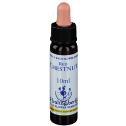 Healing Herbs Red Chestnut características