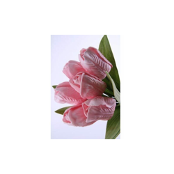 Mazzo di tulipani mini - 23 cm - Rosa - BLUMISSIMA características