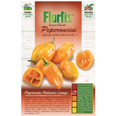 Bustone perperoncino habanero orange - ORVITAL SPA - SEMI
