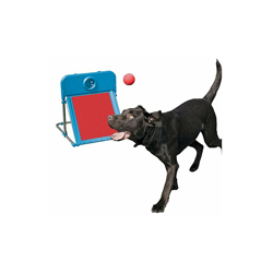 Dog Agility Flyball - Rosewood en oferta