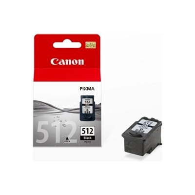 Cartuccia ad Inchiostro Originale Canon CCICTO0233 2969B001 Nero