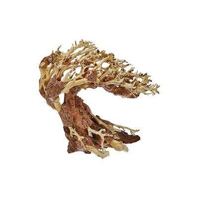 Legno Oriental Wind 3 SM - Amtra