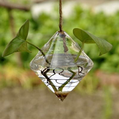 Vaso sospeso in vetro trasparente geometrico a bottiglia idroponica rombo - ASUPERMALL