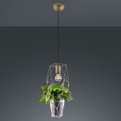 Lampada a sospensione Plant, 1 luce con vetro