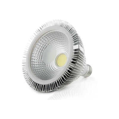 Greenice - Lampadina a LED COB Par38 E27 15W 1350Lm 30.000H | Bianco Freddo (JN-P15WCOB-CW)