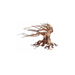 Amtra Legno Oriental Wind 6 MD precio