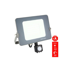 Faretto Electronics 50W 5700k 4000 lm IP65 - Silver precio