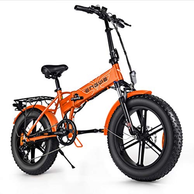 ENGWE 750W Bici Elettriche da 20 Pollici Mountain Beach Snow Bike per Adulti Scooter Elettrico in Alluminio A 7 velocità E-Bike con Ricarica Batteria 