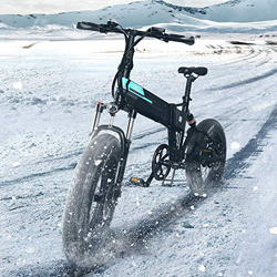 FIIDO M1 Pro Bici elettrica Pieghevole 500W Motore 7 velocità deragliatore Display 3 modalità Display LCD E-Bike Bicicletta elettrica per Adulti Adole características