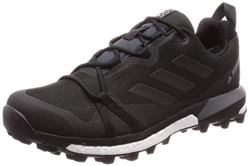 adidas Terrex Skychaser Lt GTX, Scarpe da Trekking Uomo, Carbon/Core Black/Grey Four F17, 43 1/3 EU precio