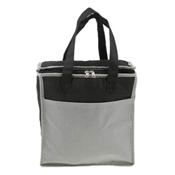 Borsa termica termica termica da 15 l, per picnic, campeggio, auto, borsa termica isolata per picnic all'aperto precio