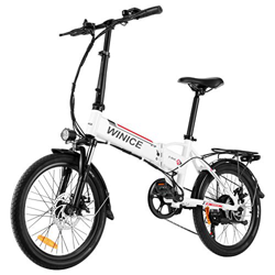 Vivi Bicicletta Elettrica Pieghevole, 20 Pollici Bici Elettriche 250W Ebike, Bici Elettrica per Adulti con Batteria Rimovibile agli Ioni di Litio da 3 características