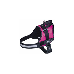 80584Â âÂ 64Â Stoviglie Seguro Lampone Pancia - Nobby precio